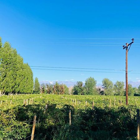 Finca Tierra Calma Casa 1 Бареал Екстериор снимка