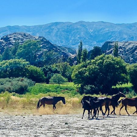Finca Tierra Calma Casa 1 Бареал Екстериор снимка