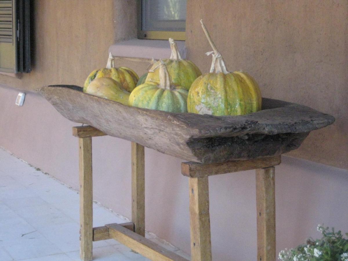 Finca Tierra Calma Casa 1 Бареал Екстериор снимка