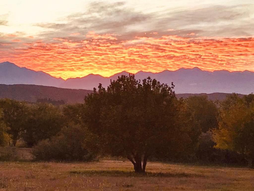 Finca Tierra Calma Casa 1 Бареал Екстериор снимка