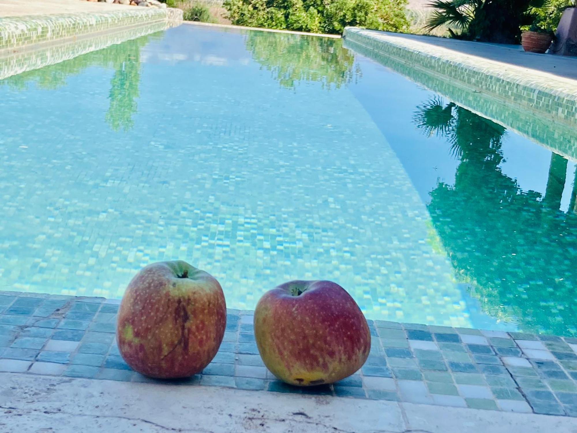 Finca Tierra Calma Casa 1 Бареал Екстериор снимка