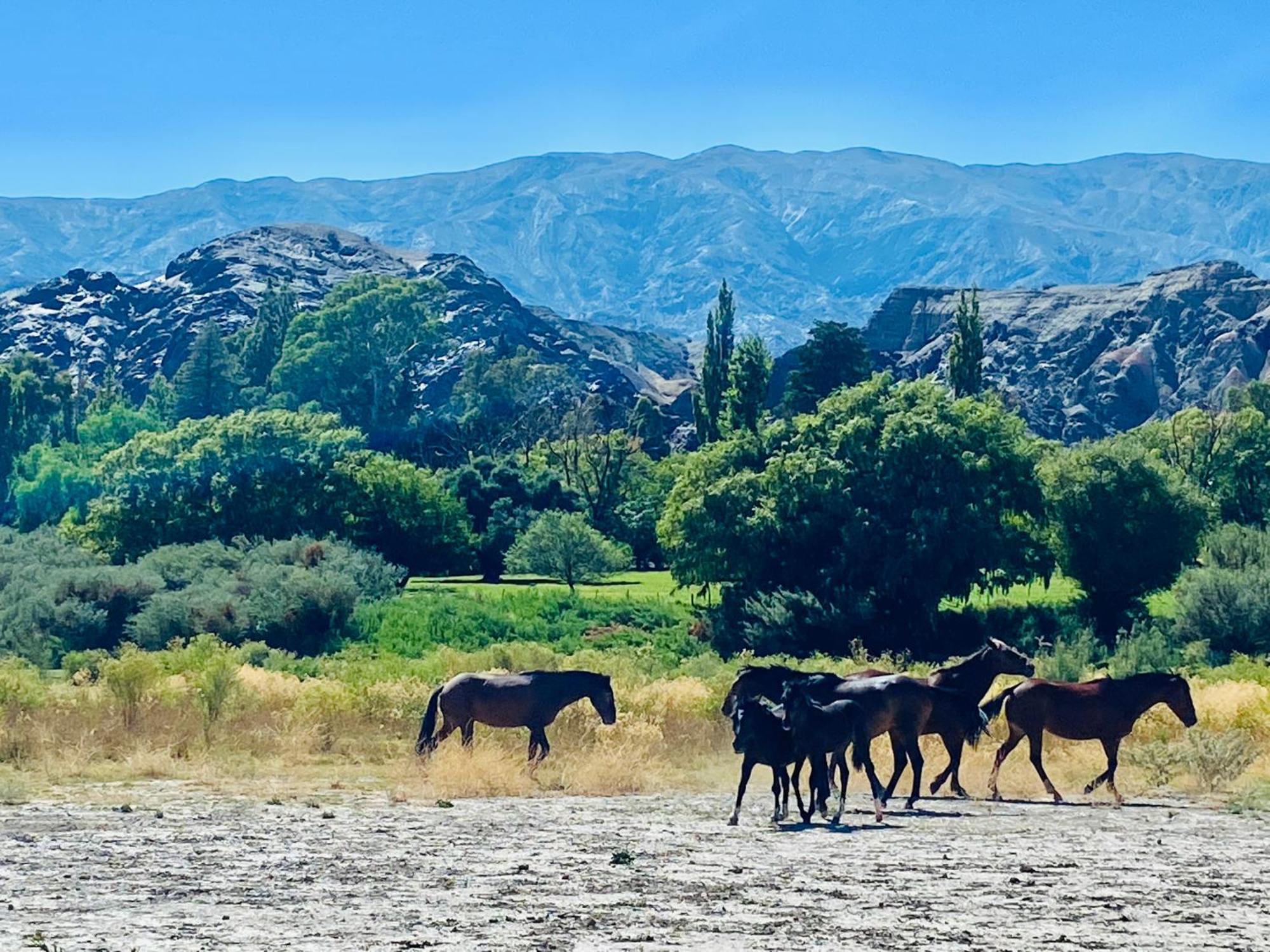 Finca Tierra Calma Casa 1 Бареал Екстериор снимка